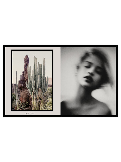 Jardín de Cactus - cactus garden diptych